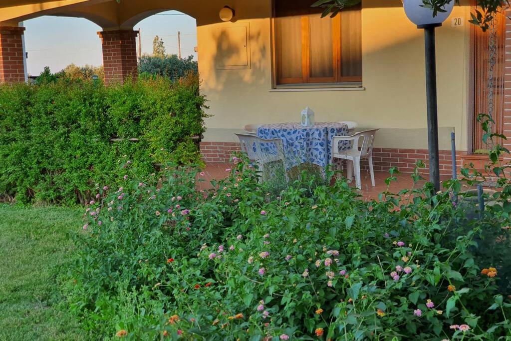 Giardino Degli Ulivi