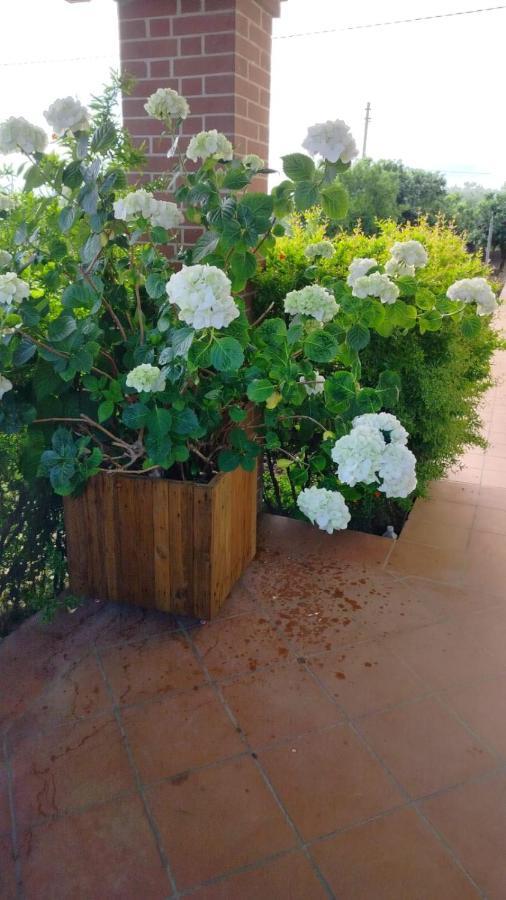 Giardino Degli Ulivi * Ortona